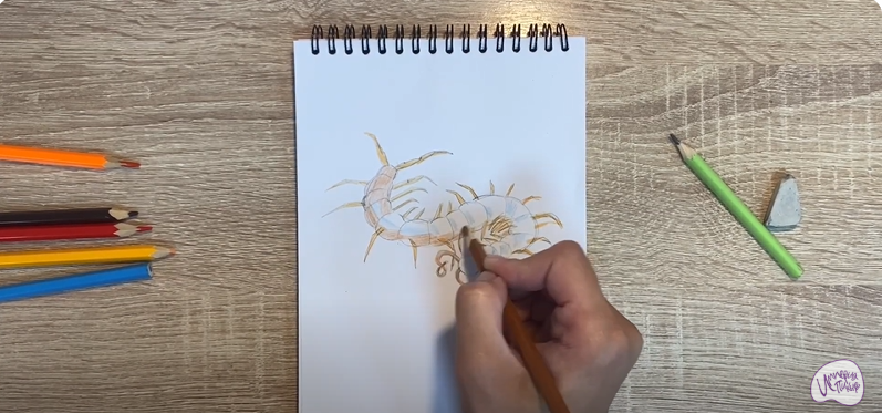 Рисуем Сороконожка