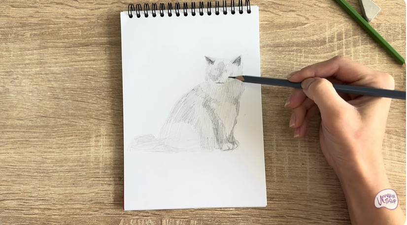 Рисуем Кошка породы Рэгдолл