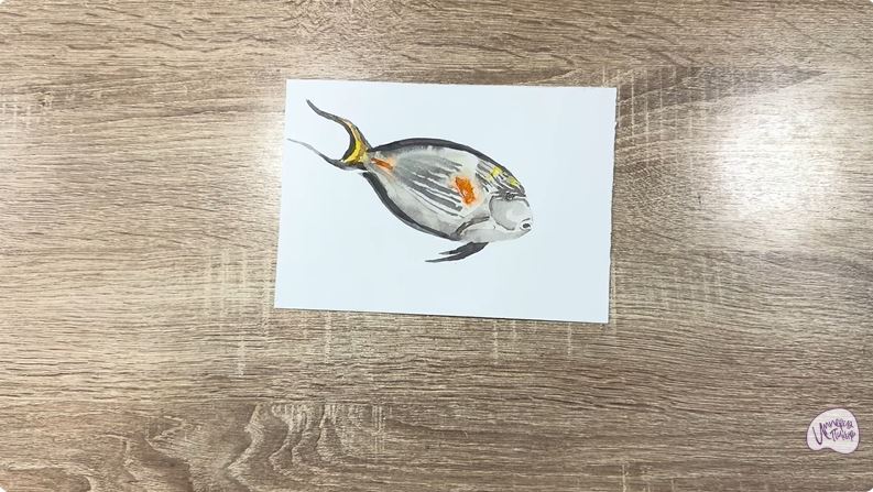 Рисуем Рыба-хирург