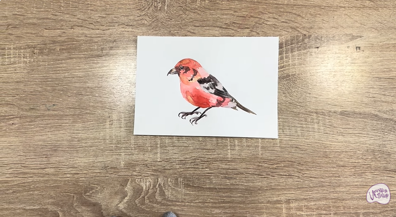 Рисуем Клест - еловик