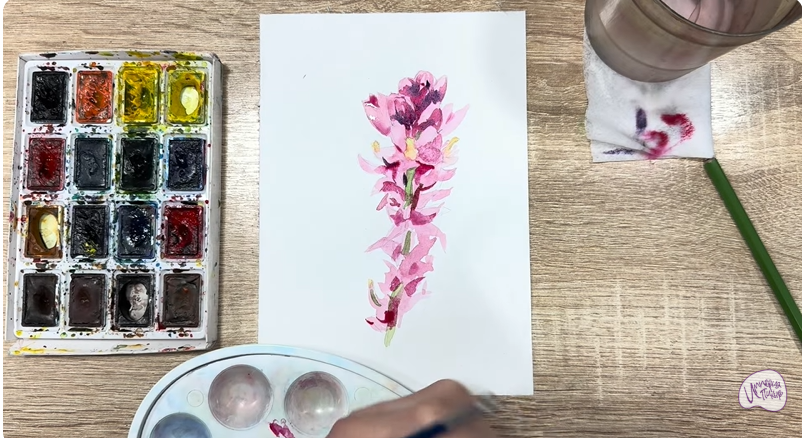 Рисуем Мирикария лисохвостая