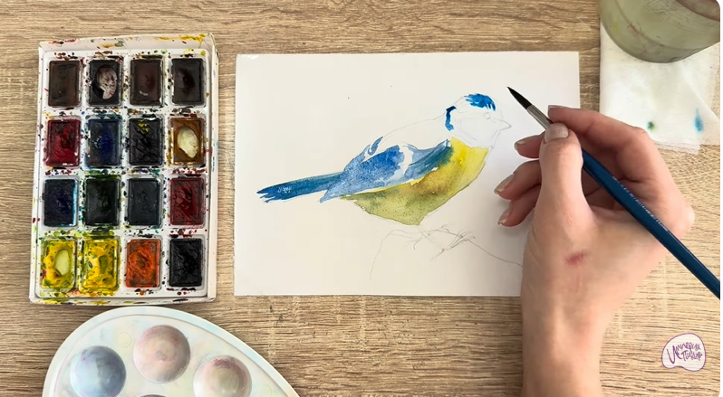 Рисуем Обыкновенная лазоревка