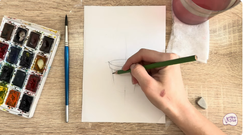 Рисуем Криптомерия японская