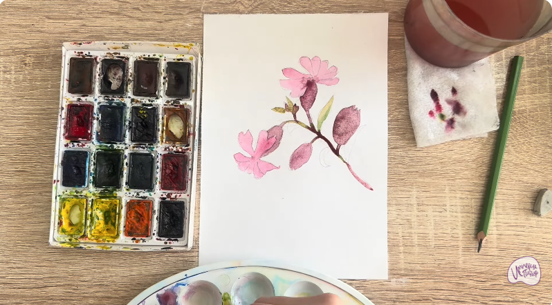 Рисуем Розовая смолёвка