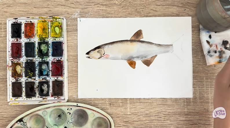 Рисуем Голавль