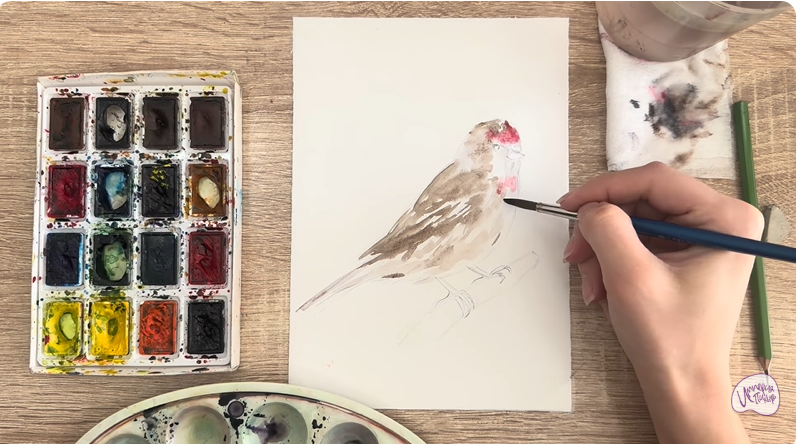 Рисуем Обыкновенная чечётка