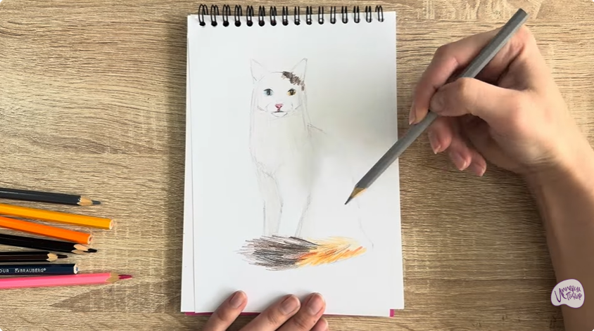 Рисуем Кот породы "Турецкий ван"