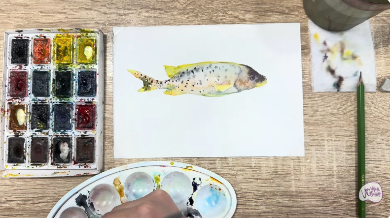 Рисуем Чернокрапчатый ворчун