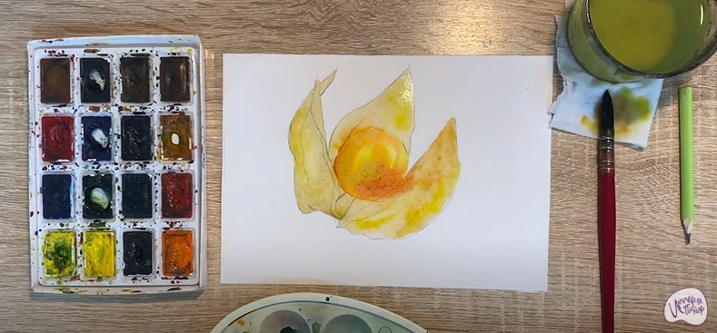 Рисуем Физалис