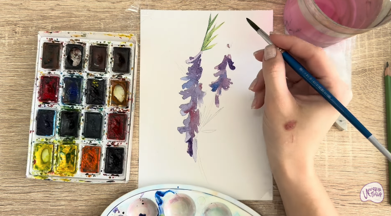 Рисуем Мышиный горошек