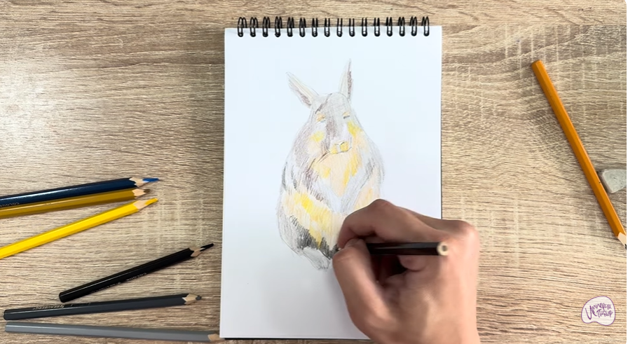 Рисуем Горная вискаша