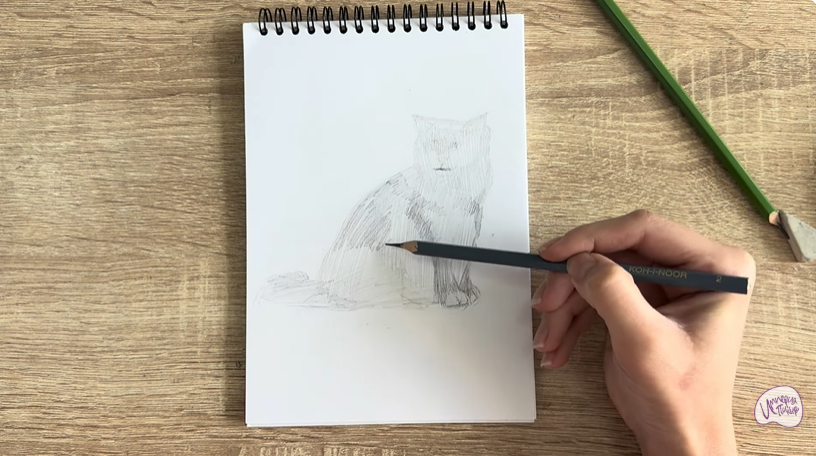 Рисуем Кошка породы Рэгдолл
