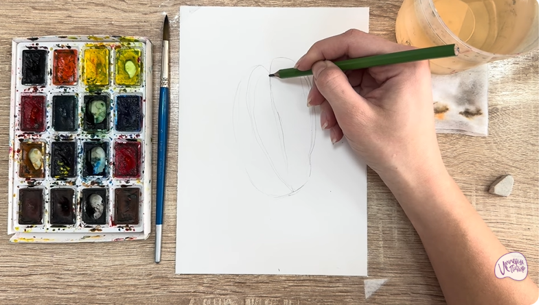 Рисуем Акебия