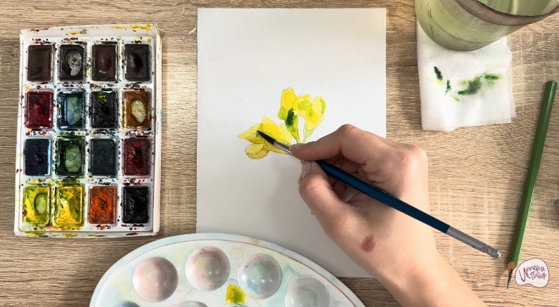 Рисуем Чина луговая