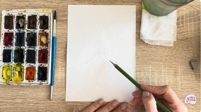 Рисуем Альбиция