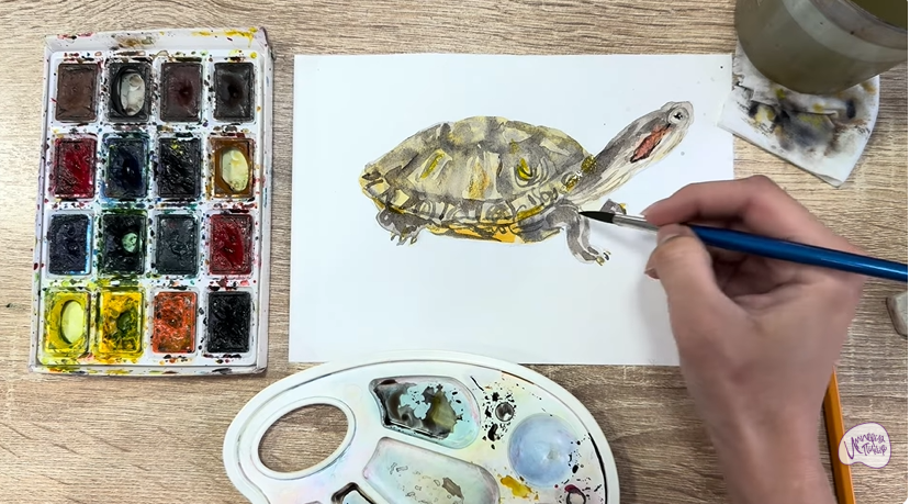 Рисуем Красноухая черепаха