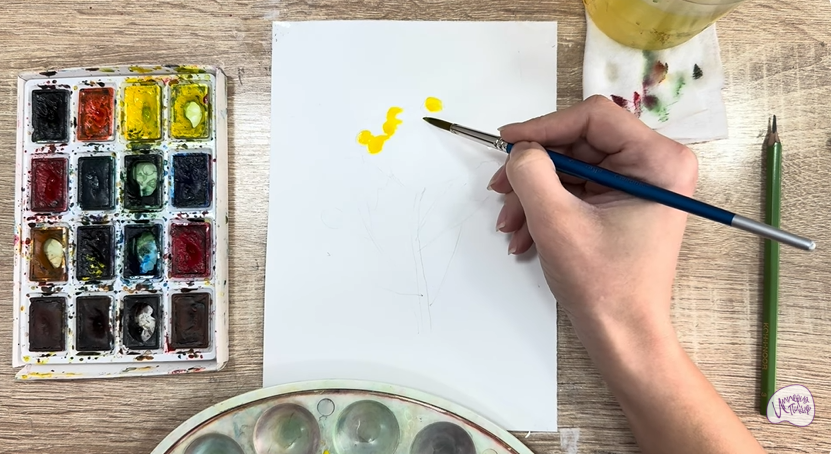 Рисуем Пижма