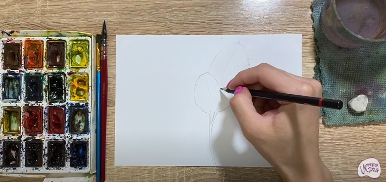 Рисуем Фикус