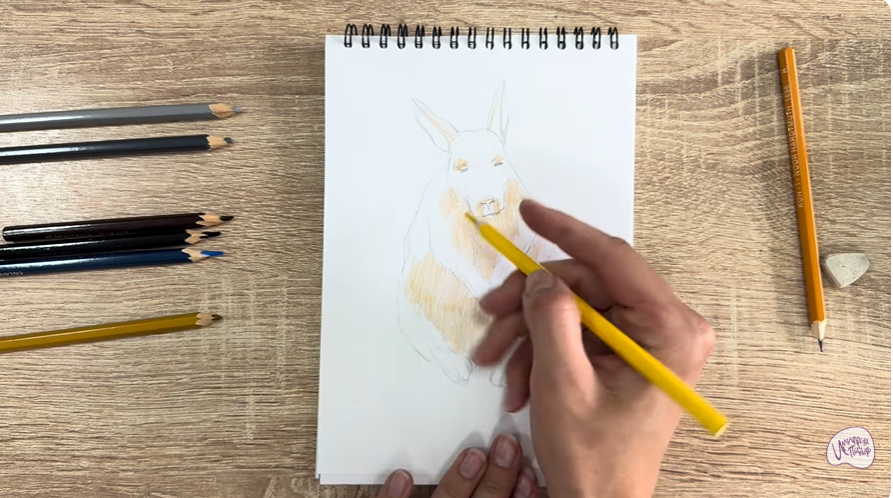 Рисуем Горная вискаша