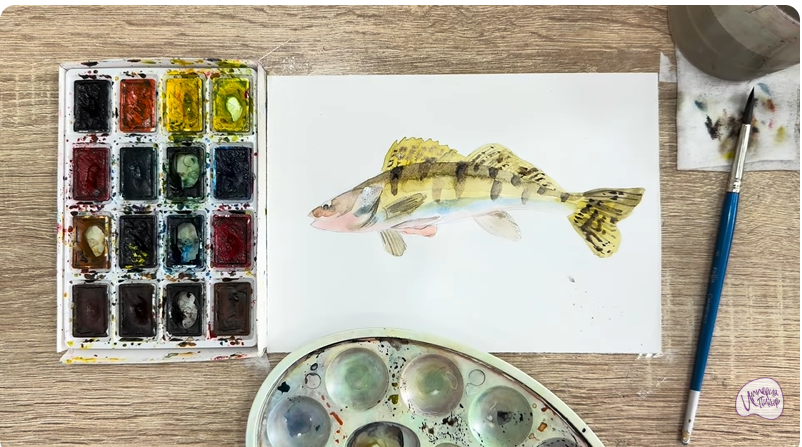 Рисуем Берш