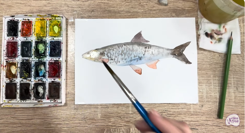 Рисуем Подуст