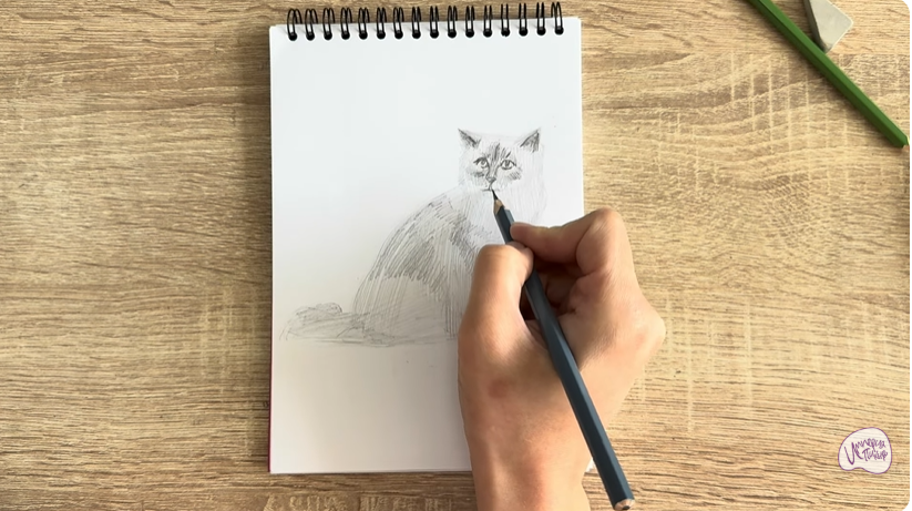 Рисуем Кошка породы Рэгдолл