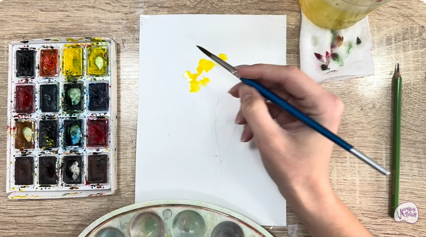 Рисуем Пижма