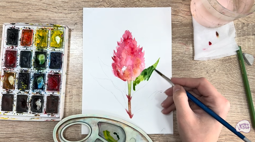 Рисуем Целозия