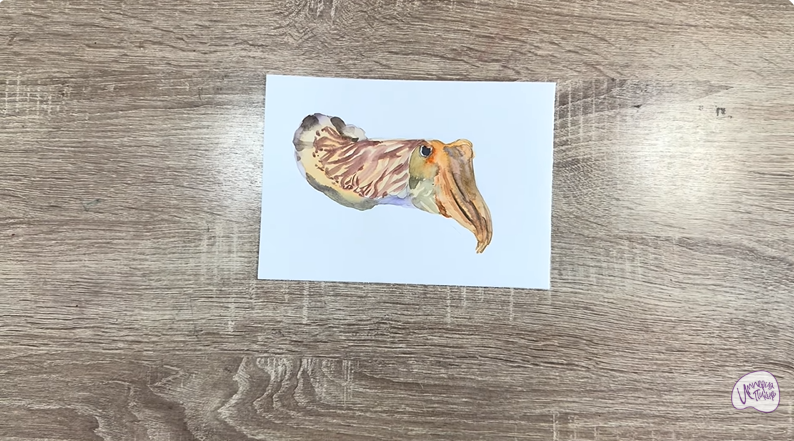 Рисуем Каракатица