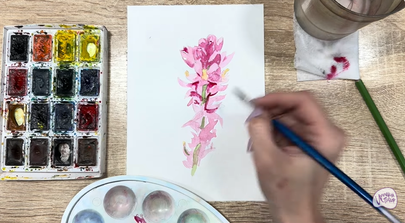 Рисуем Мирикария лисохвостая