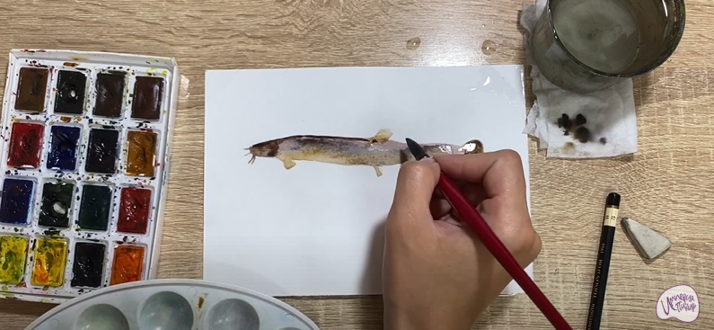 Рисуем Вьюн