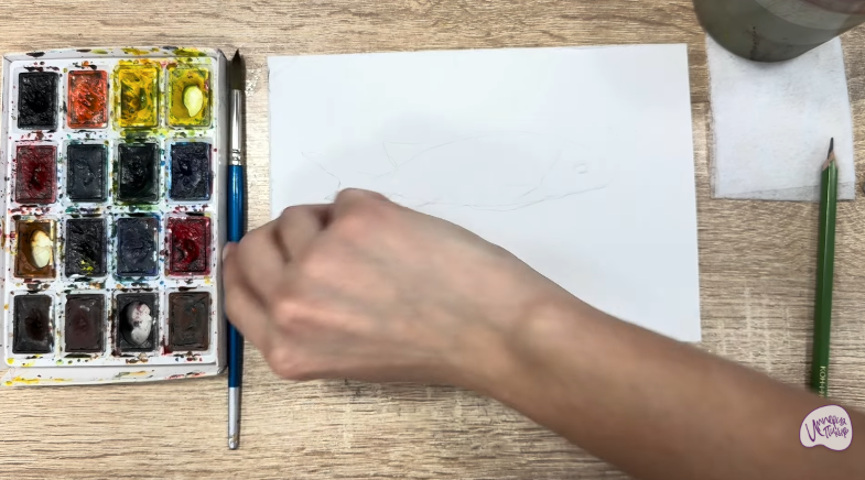 Рисуем Чернокрапчатый ворчун