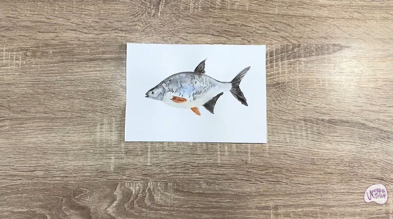 Рисуем Густера