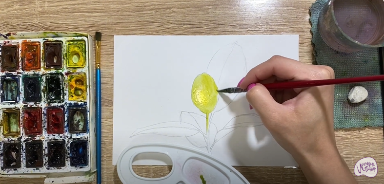 Рисуем Фикус