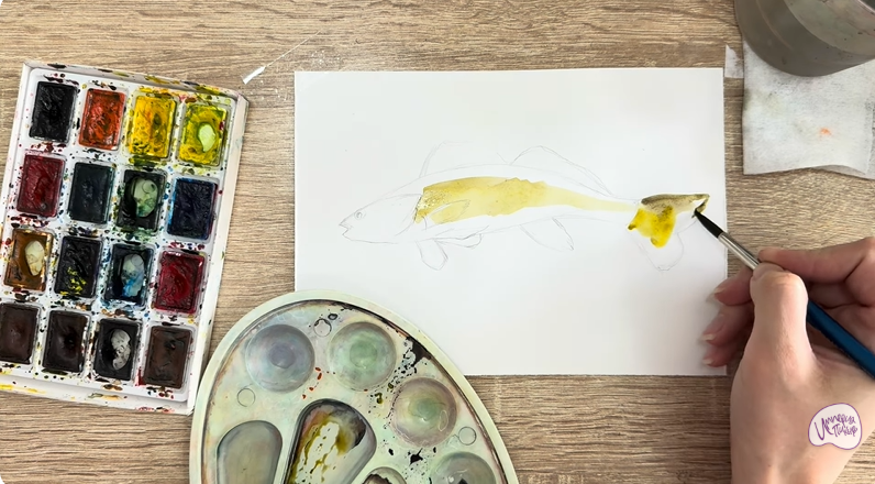 Рисуем Берш