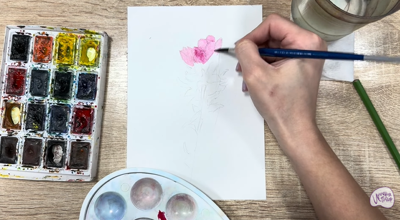 Рисуем Мирикария лисохвостая