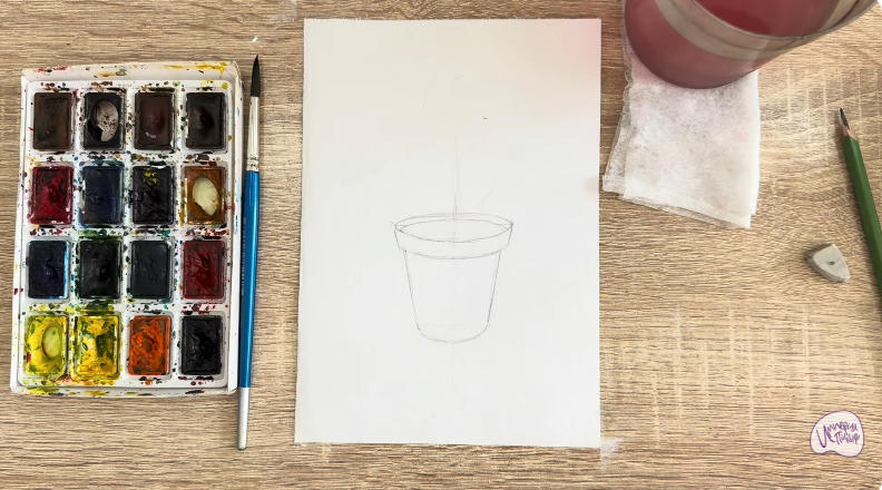 Рисуем Криптомерия японская