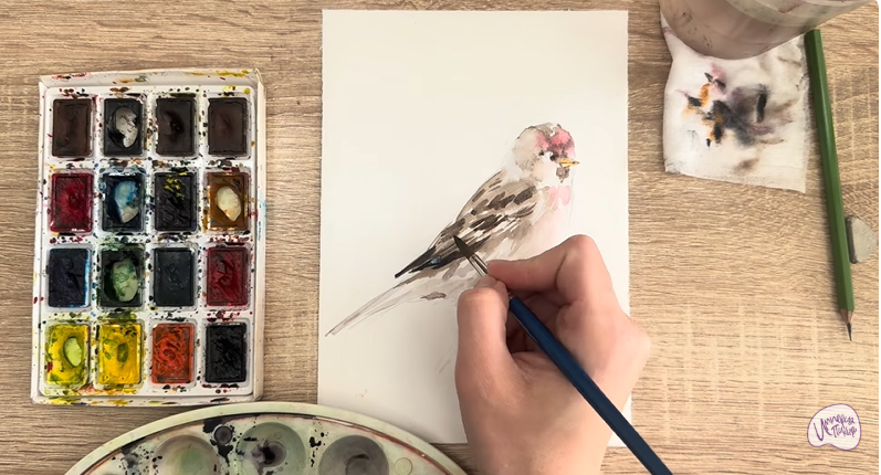 Рисуем Обыкновенная чечётка