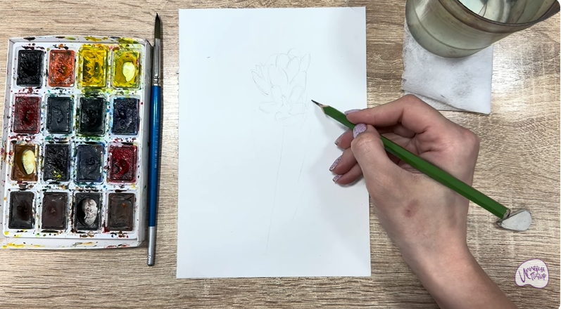 Рисуем Мирикария лисохвостая