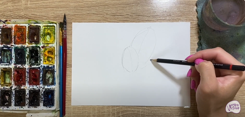 Рисуем Фикус