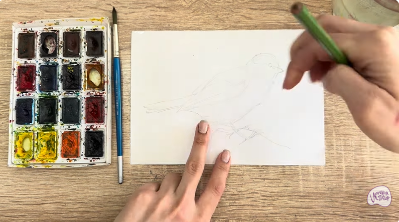 Рисуем Обыкновенная лазоревка