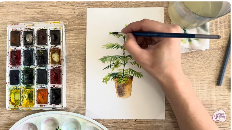 Рисуем Араукария в горшке