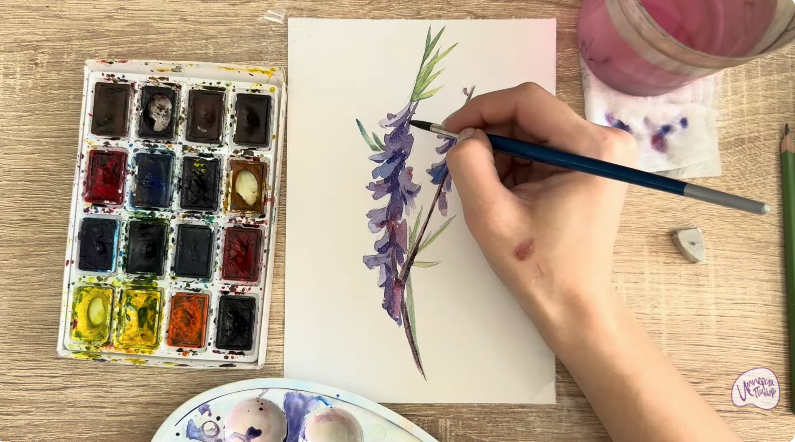 Рисуем Мышиный горошек