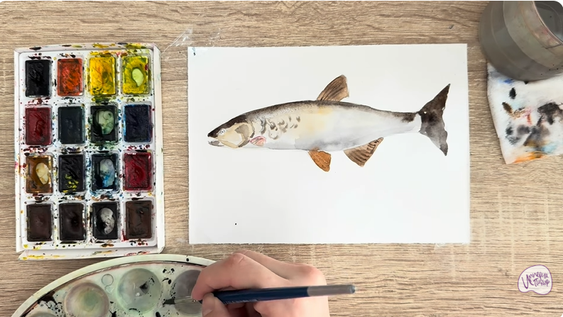 Рисуем Голавль