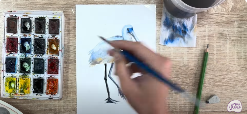Рисуем Колпица Рисуем Колпица