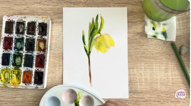 Рисуем Желтый рябчик