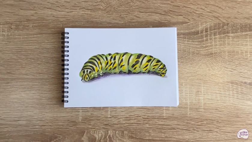 Рисуем Гусеница Рисуем Гусеница