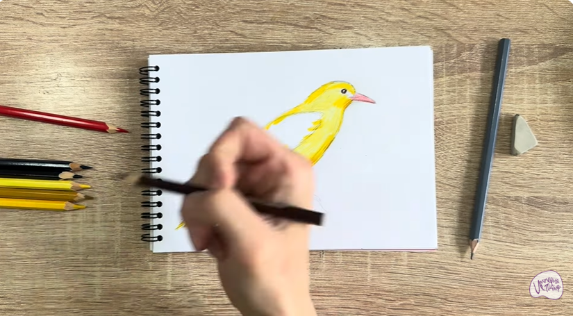 Рисуем Иволга