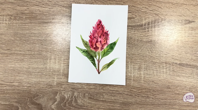 Рисуем Целозия