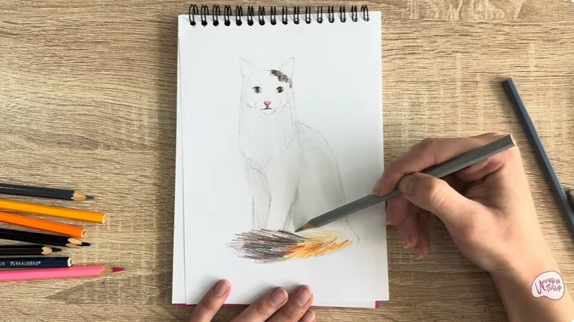 Рисуем Кот породы "Турецкий ван"